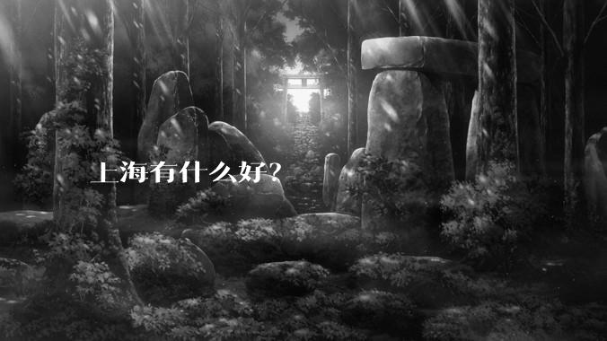 上海有什么好？