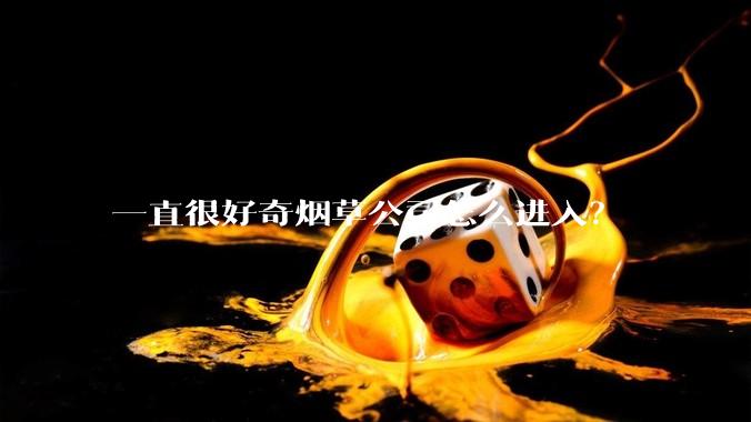 一直很好奇烟草公司怎么进入？