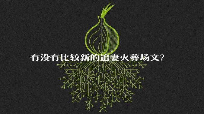 有没有比较新的追妻火葬场文？