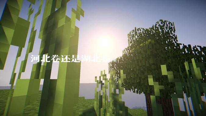河北卷还是湖北卷?