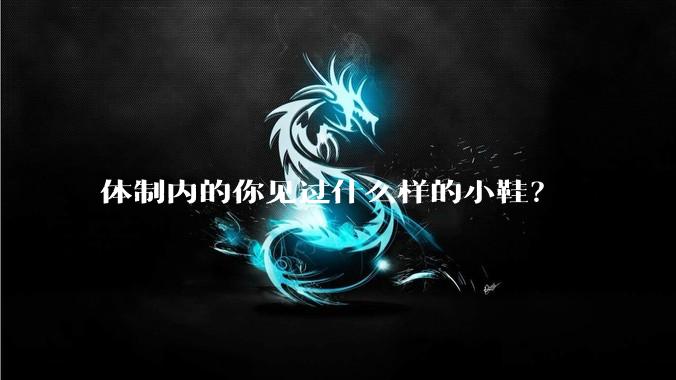 体制内的你见过什么样的小鞋？