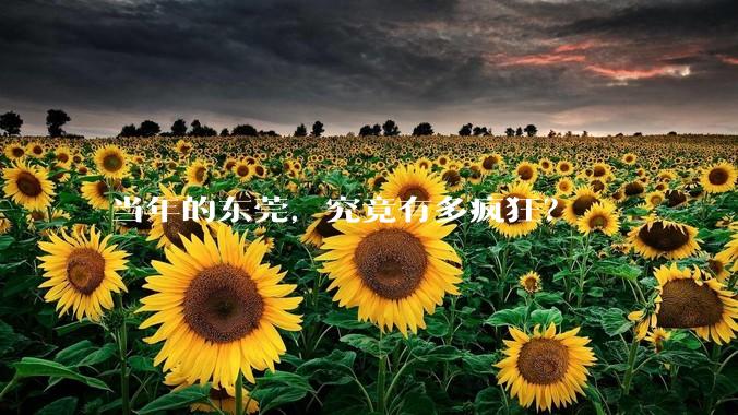 当年的东莞，究竟有多疯狂？