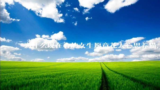 为什么现在有的女生愿意花大心思养猫，却不愿意养孩子呀?