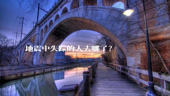地震中失踪的人去哪了？