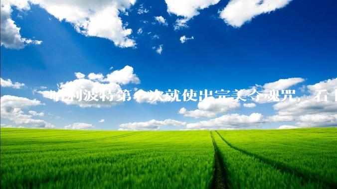哈利波特第一次就使出完美夺魂咒，看书就能学会神锋无影，两次就可以使用钻心咒，他是否很有黑巫师的潜力？